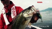 Bass Fishing 3DB SERIES - in Lake Biwa(703)