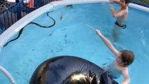 Swimming in Australia with a PYTHON SNAKE in the Pool