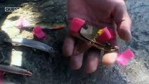 FISHING Jungle Hooks E01P02  India Mountain Monsters - Fishing Video