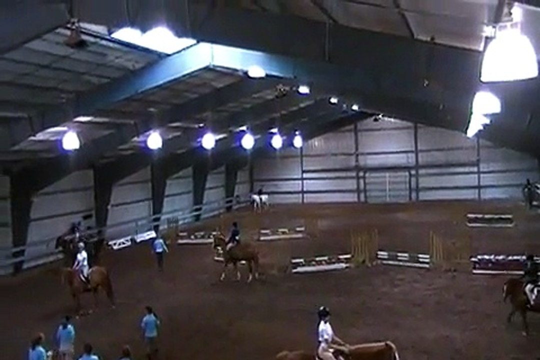 Working Hunter Flat Class