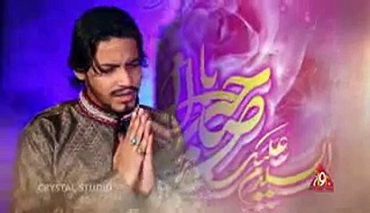 Ya Imam-e-Zama(ajtf) l Syed Subbaib Abidi l Manqabat 2015-16