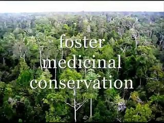 environmental problems