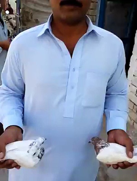 Funny Masseg