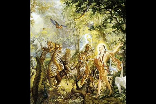 Full of Anxiety by Srila Prabhupada!