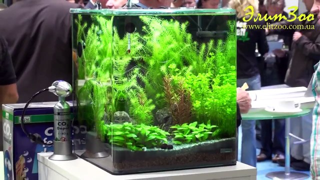 InterZoo 2010 AQUA Нюрнберг (Германия)