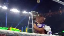 WWE Money in the Bank 14-6-2015  Ladder Match Roman Reigns Match Won BrayWyatt i