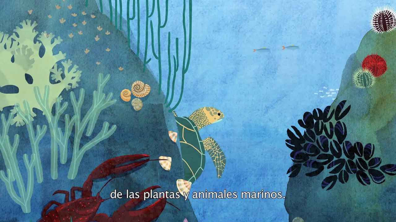 Blue Ocean - version con sustitulos en espanol