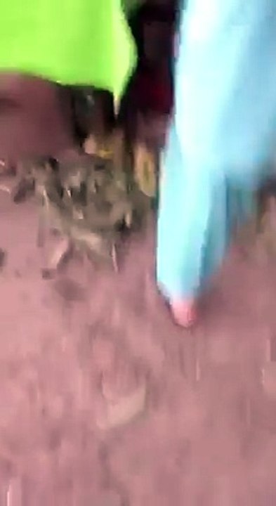 Stobari