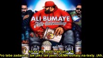 Ali Bumaye - Same Shit, Different Day (feat. Bushido & Shindy) (cz lyrics)