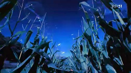 Scienza in Cucina - Il Burro - Bressanini piattoforte.flv