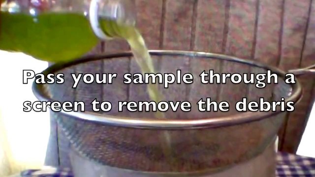 Biology Oxygen Demand | biology experiment ideas, | easy biology experiments,
