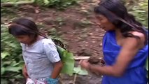 Amazonia Ecuador: Conservación de Bosques Amazónicos -Doris Cordero-  Video 3 ©TRAFFIC