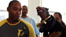 Triumph the Insult Comic Dog meets the Rebirth Brass Band