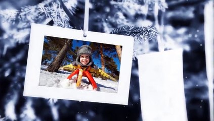 After Effects Project Files - Photo Gallery On The Spruce Winter - VideoHive 8936211