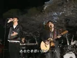 KOBUKURO - TSUBOMI