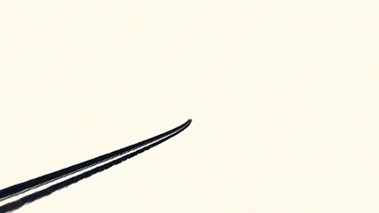 After Effects Project Files - Ink Path - VideoHive 9146211