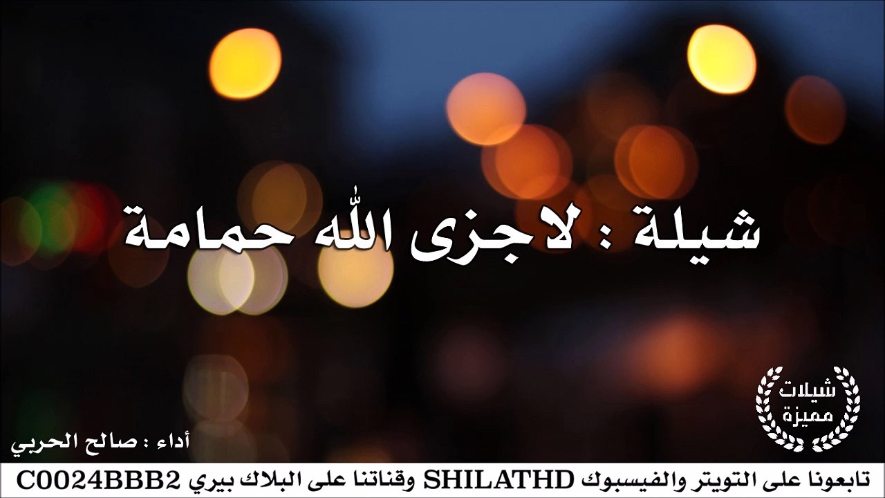 شيلة : لاجزى الله حمامة - أداء صالح الحربي | أصلي + مسرع | شيلات 2015