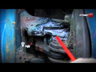 Tips Merawat Rawan Karat