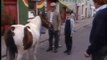 WESTPORT HORSE FARE, Westport, County Mayo, Ireland, 80's - 90's