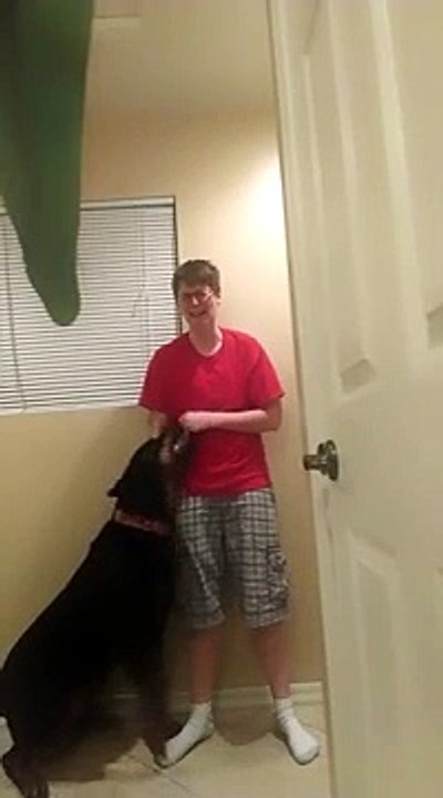 Un chien calme sa maîtresse autiste alors qu'el...