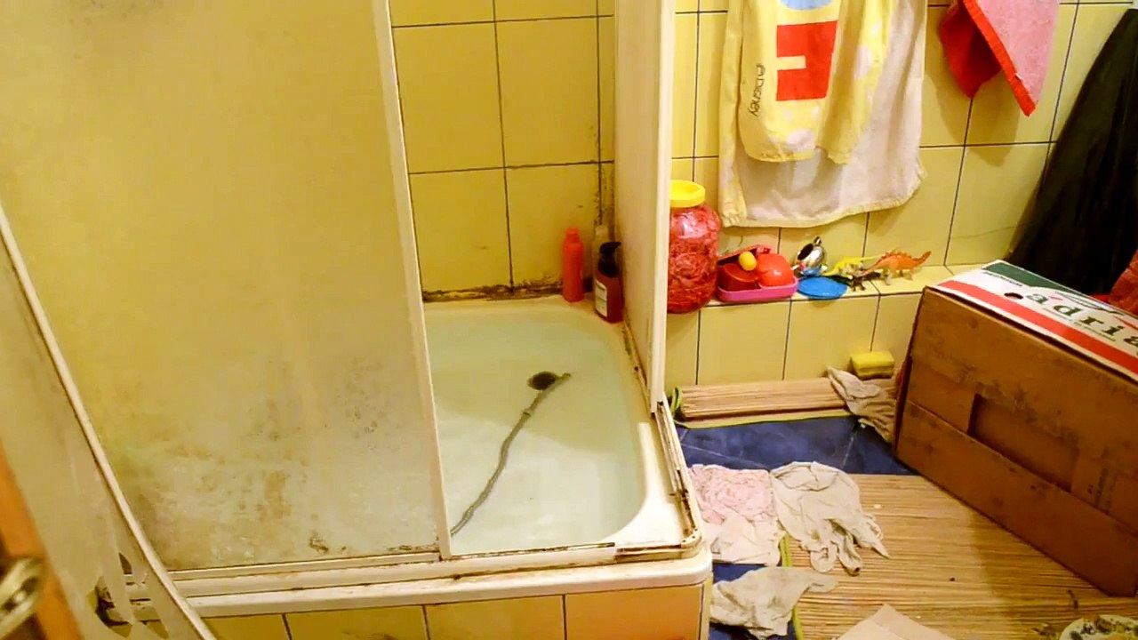 Funny sea gull taking a bath