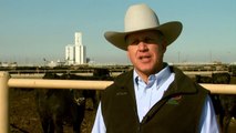 I Am Angus: Tom Brink, Top Dollar Angus