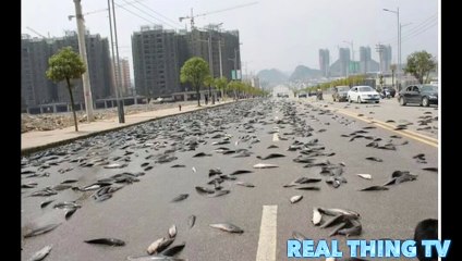 BURMA main ALLAH ka azaab