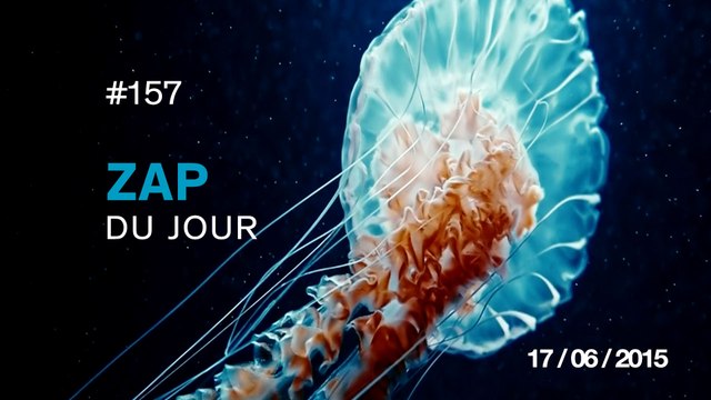 ZAP DU JOUR #157 : Crash d'avion en Russie / Vers l'infini et au-delà / Hot Dog Precision / The voyage (Beno Saradzic) /
