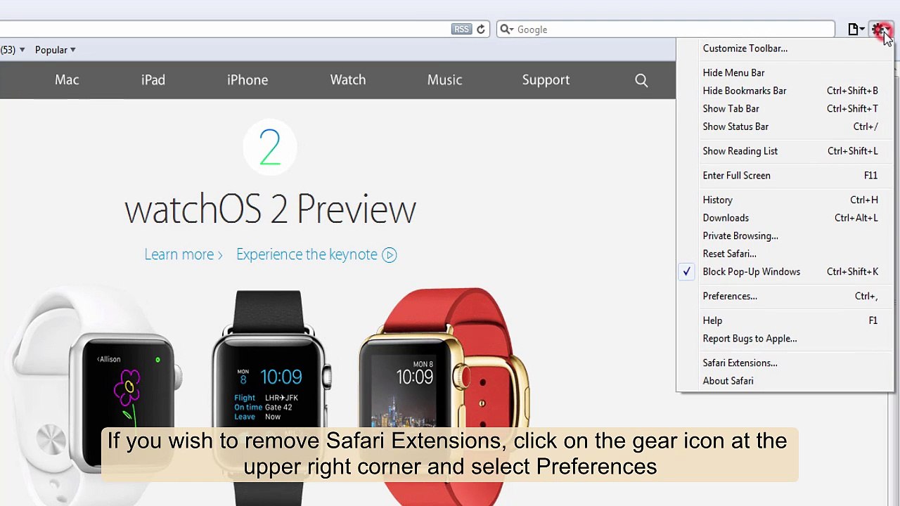How to remove Safari extensions