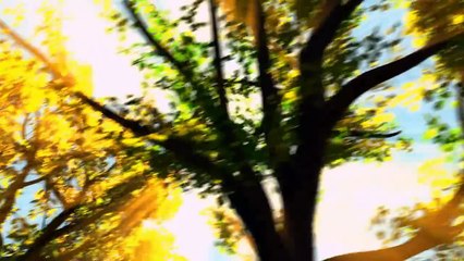 When She Loved Me (from Toy Story 2)