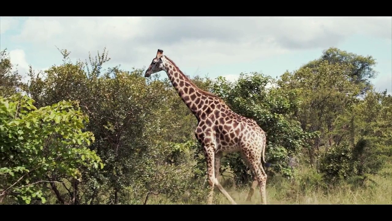 ÁFRICA