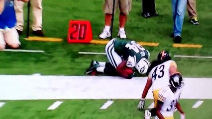 Troy polamalu hit on Stephen hill