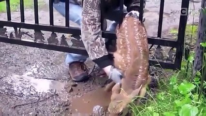 Những pha tai nạn không tưởng - amazing accident 2014