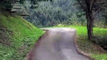 Car crashes into a tree during a race! Amazing accident