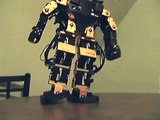 Computer-Programmed IR-Controlled Robot