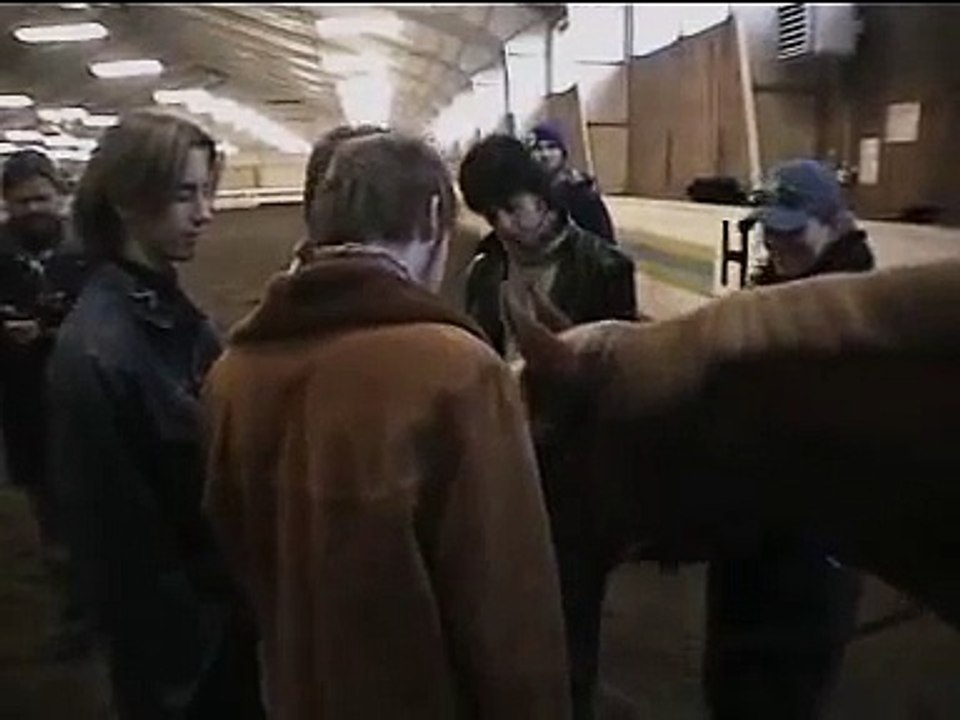 The Moffatts  - Interview: "Riding"