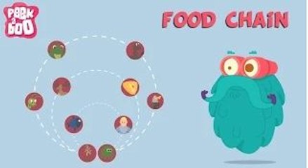 What Is A Food Chain? | The Dr. Binocs Show | Learn Series For Kids