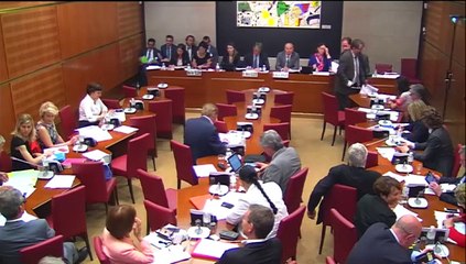 Intervention en Commission - deuxième dividende numérique