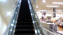 HAPPY ESCALATOR MONDAY! ニトリ八王子店フジテックエスカレーター FUJITEC Escalators/l'escalator（動画）