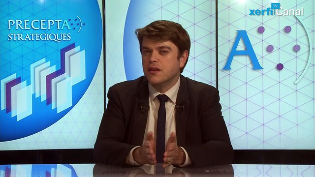 Aurélien Duthoit, Xerfi Canal Les écosystèmes ouverts ou fermés