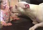 Baby Shares Special Bond With Deaf Dog