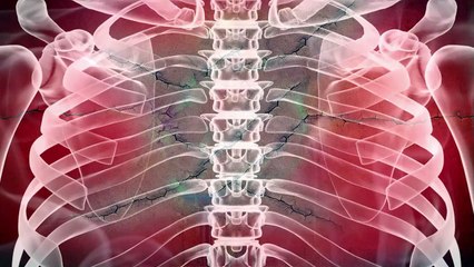 LA BALLATA DEI SENZATETTO - TRAILER ITALIANO - short animated film