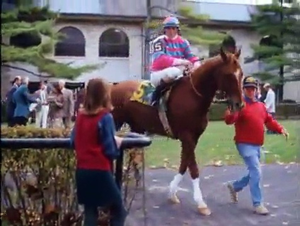 A Horse for Danny (1984) 7 of 10.avi