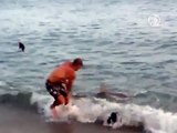 Рыбак поймал акулу и руками вытащил её на берег (новости)