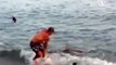 Рыбак поймал акулу и руками вытащил её на берег (новости)