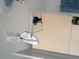 mi loro yaco haciendo sus fechorias en el baño
