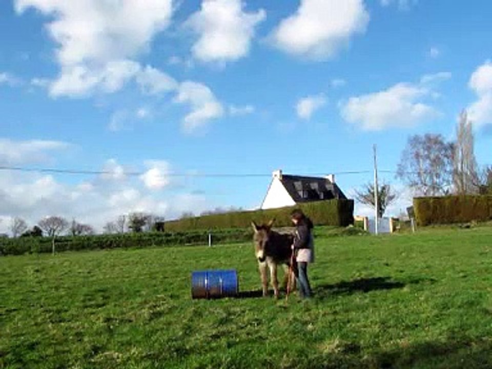 Séance intégrale de travail avec Romarin - mars 2010