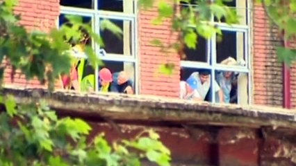 Escaped tiger kills man in Georgia