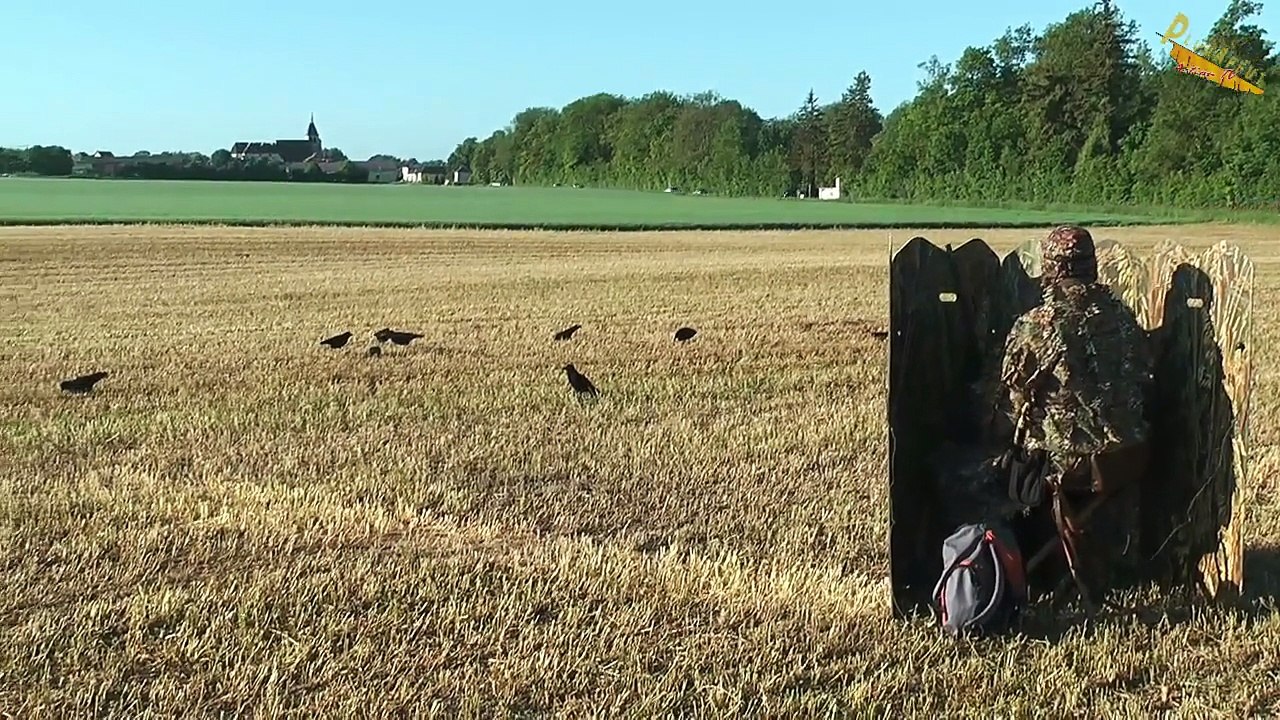 chasse affut miroir ghostblind