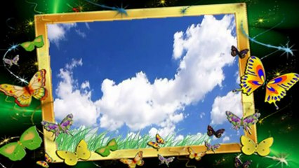 Spring Peeper Pseudacris crucifer tad poles , blood worms, the larvae of the midge fly Tubifex Worms